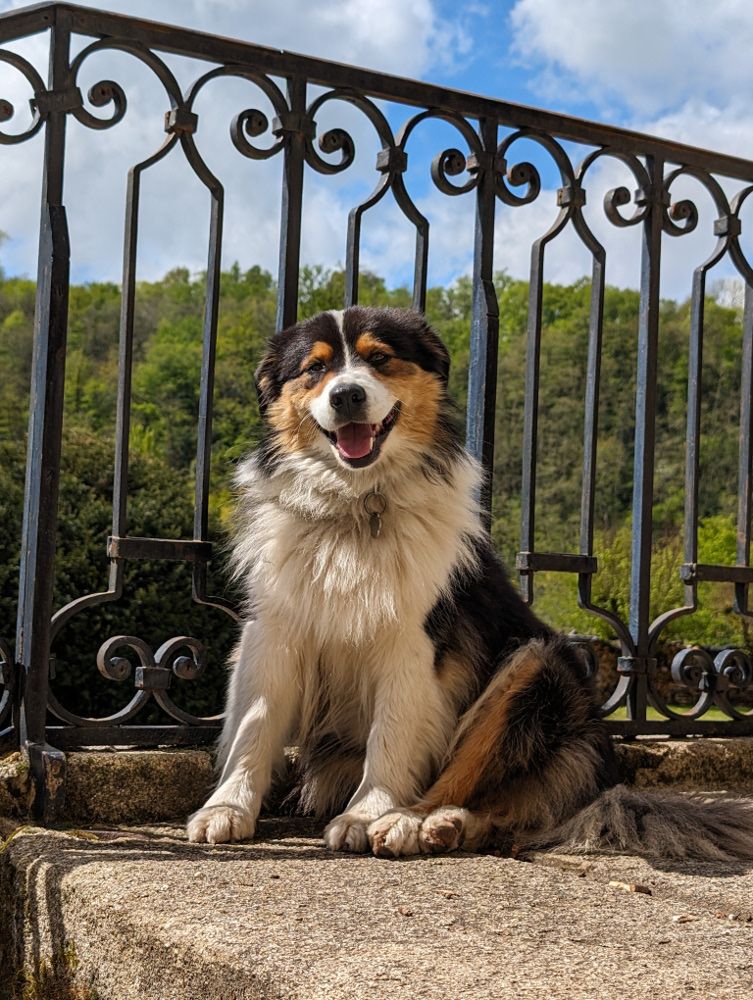 Au Cloître De Solignac Tiana dite t'stella